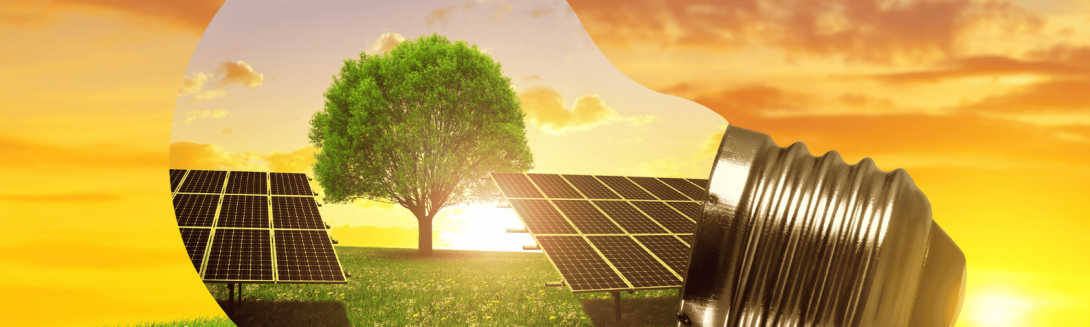 Bulb with a tree and solar panel